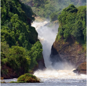 Nature Adventure Uganda: Gorillas, Rivers, Savannas and Snow-Capped Peaks